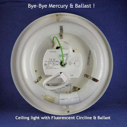 SOLARA-USA Extremely BRIGHT 4200-lumen 8" LED Circline for Ceiling Light, Ceiling Fan Light, P/N: SPTL448LRM-COLOR